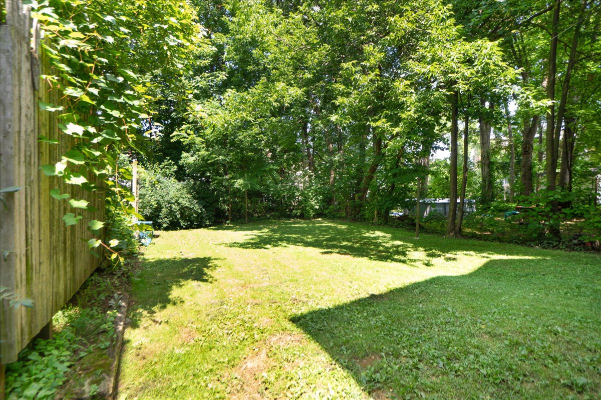 16 Backyard